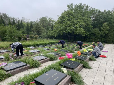 134936333538044282746304347215032407