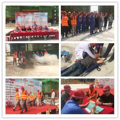 142573520472623433050818294124441648