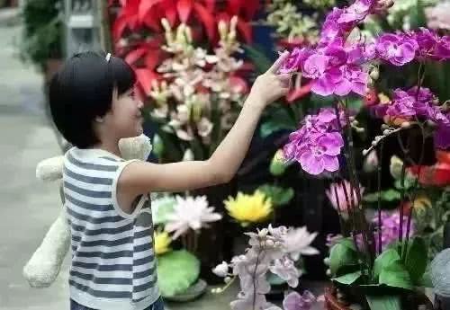 中国·KY开元(集团)股份有限公司-官方网站