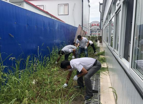 242517411132912355084321183940132623