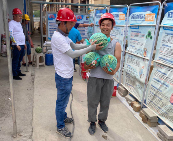 29112472432301194046014193421734225