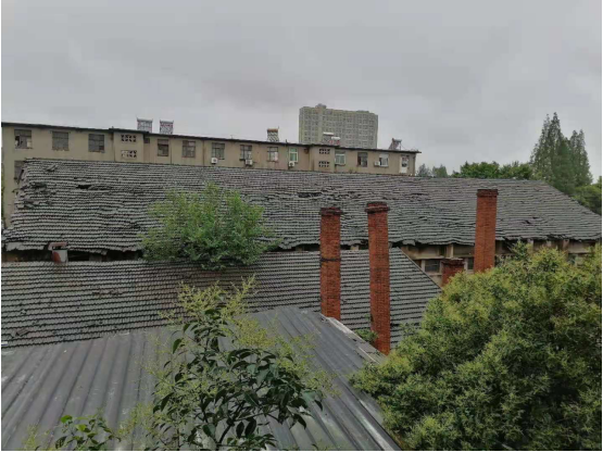 302755028131102172232343943110264248