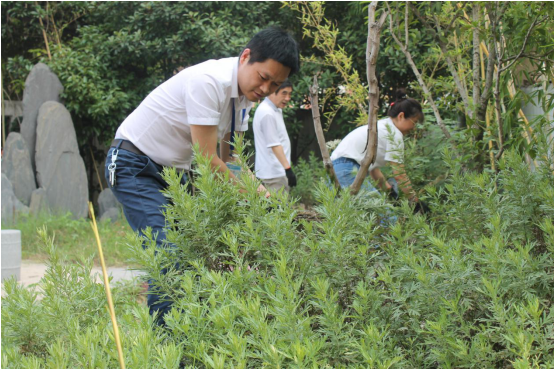 3146491428102138261125455129123941718