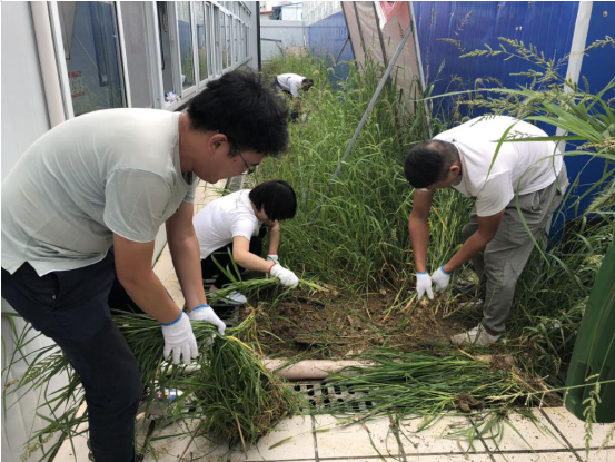 362811321648146535723224620273844229