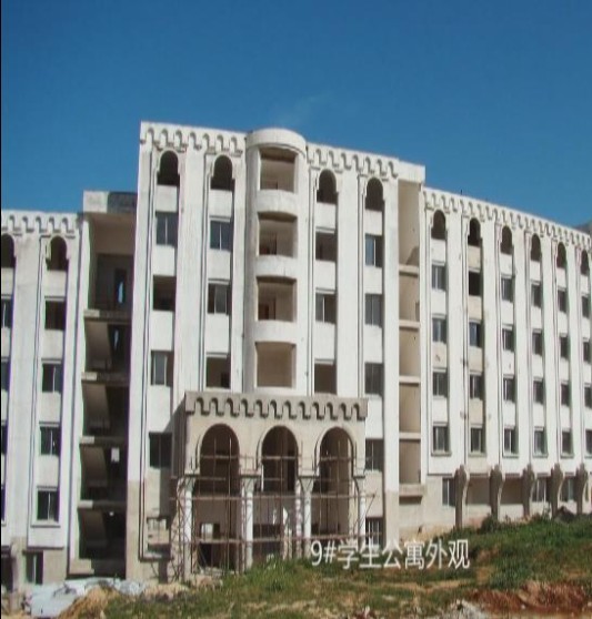 382026307431838262529502741142339