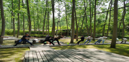 4049122120503227144829946392426194431