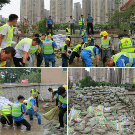 4133118303722404901545220244213231743