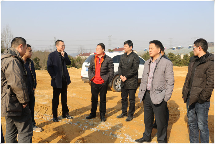 424812345028163814232213445472040263649