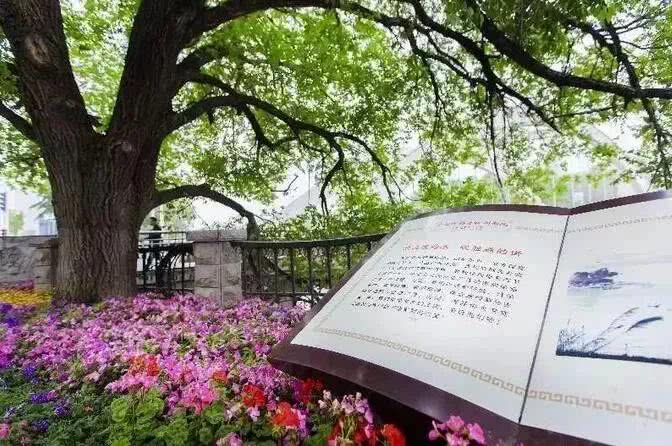 中国·KY开元(集团)股份有限公司-官方网站