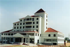 654539362325111321321733374103538442