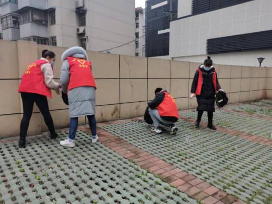 71234432636433048379498274238113524