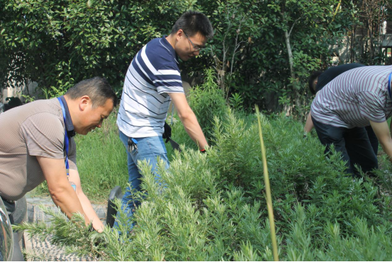 9535491226463313418165010144114818