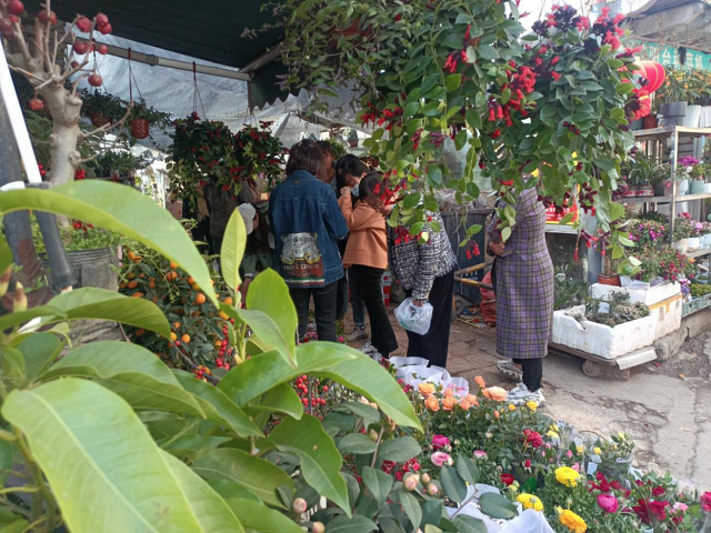 中国·KY开元(集团)股份有限公司-官方网站